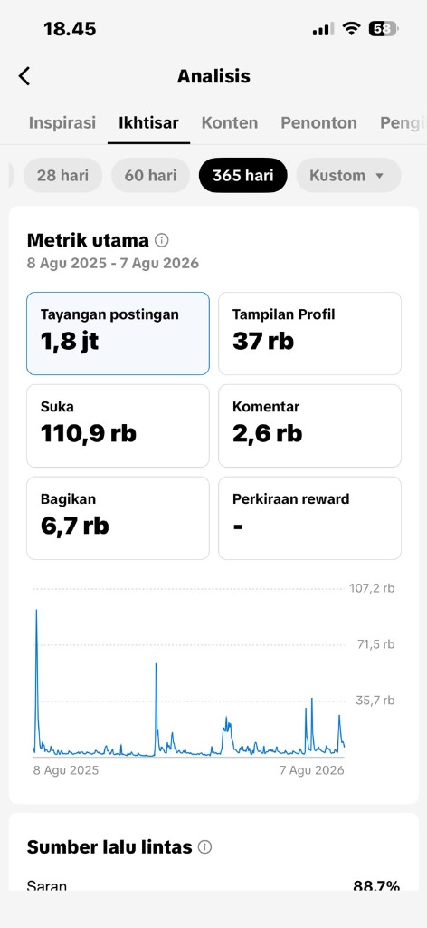 Ikhtisar 365 Hari TikTok